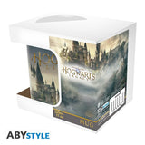 Чаша ABYSTYLE HARRY POTTER, Hogwarts Legacy Castle, 320 ml, Многоцветна