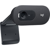 Webcam with microphone LOGITECH C505, HD, USB2.0