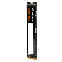 Solid State Drive (SSD) Gigabyte AORUS 5000E 500GB, NVMe, PCIe Gen4