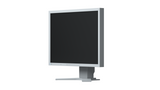 Монитор EIZO FlexScan S2133, IPS, 21.3 inch, Clasic, UXGA, D-Sub, DVI-D, DisplayPort, Сив